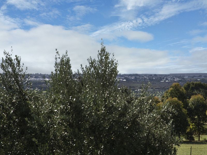 23 Dundee Street, Sellicks Beach SA 5174