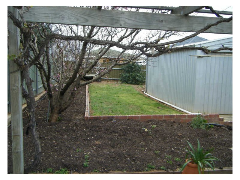 38 Wellington Avenue, Sellicks Beach SA 5174