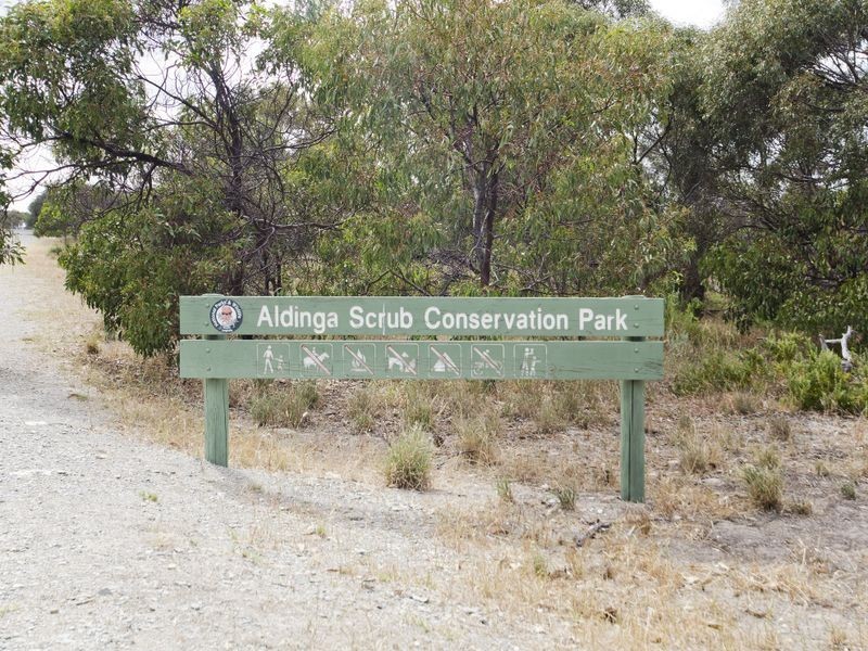 16 Boomerang Avenue, Aldinga Beach SA 5173