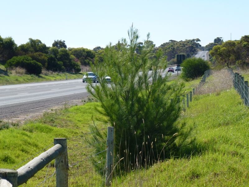 278 Communication Road, Mclaren Vale SA 5171