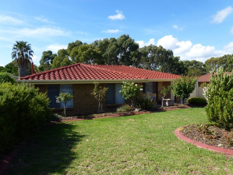 59 Doctors Road, Morphett Vale SA 5162