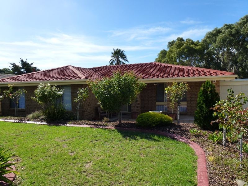 59 Doctors Road, Morphett Vale SA 5162
