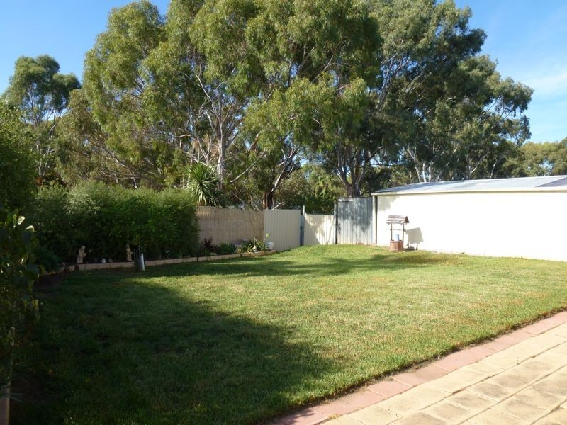 59 Doctors Road, Morphett Vale SA 5162