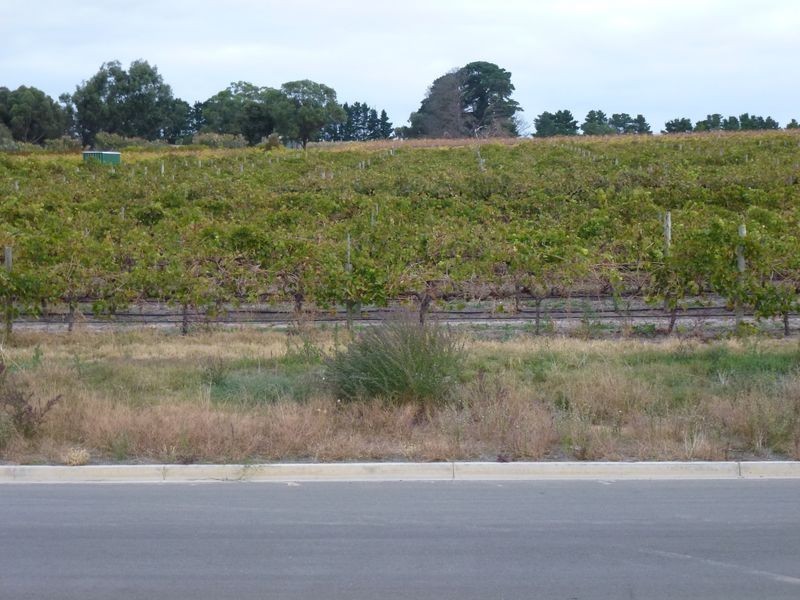 Lot 171 Conte Drive, Mclaren Flat SA 5171