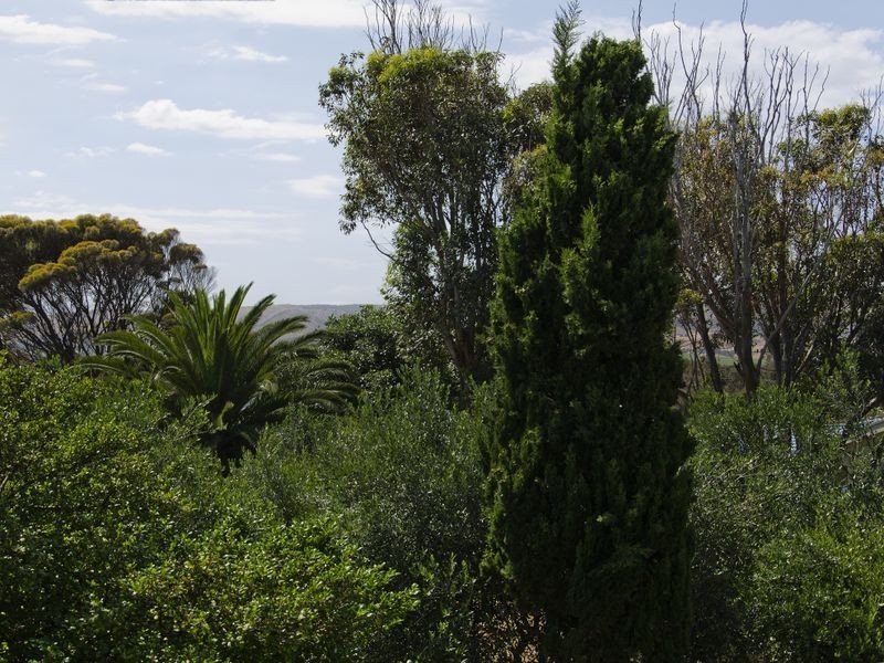 16 Boomerang Avenue, Aldinga Beach SA 5173