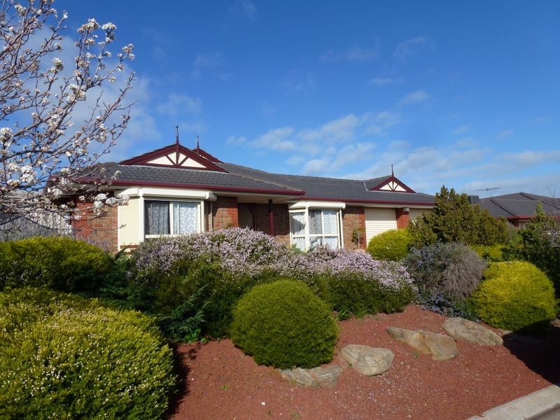19 Hazeltine Drive, Seaford Rise SA 5169