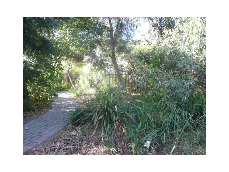 13 Maurice Street, Aldinga Beach SA 5173