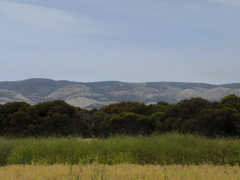 204 Bowering Hill Road, Port Willunga SA 5173