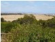 23a Oleander Drive, Maslin Beach SA 5170