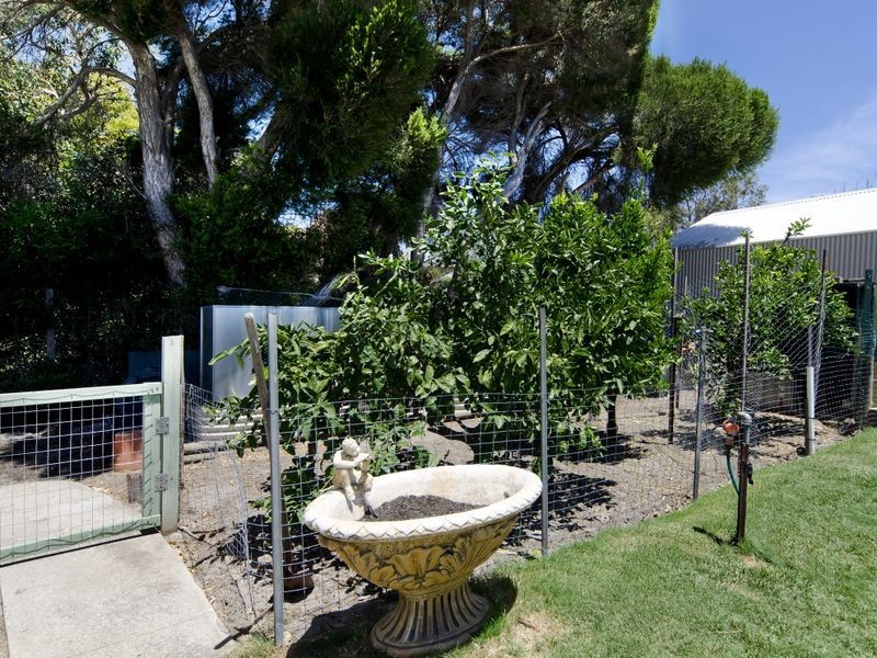 12 Redgum Avenue, Aldinga Beach SA 5173