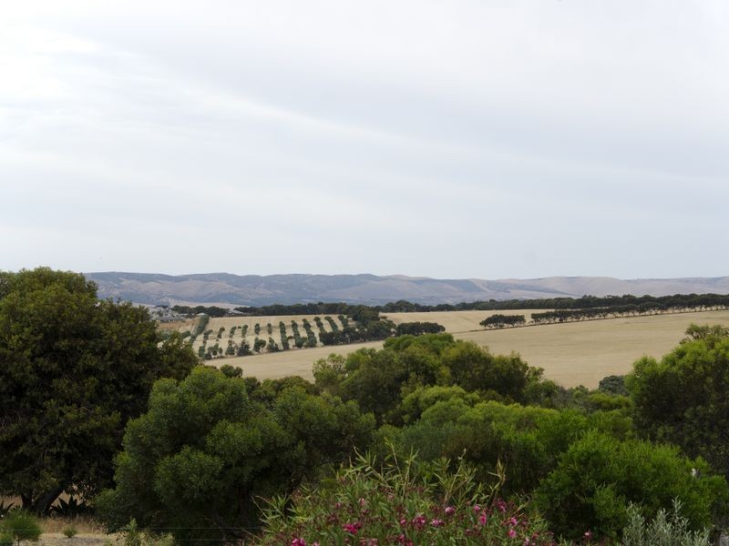 25 Oleander Road, Maslin Beach SA 5170