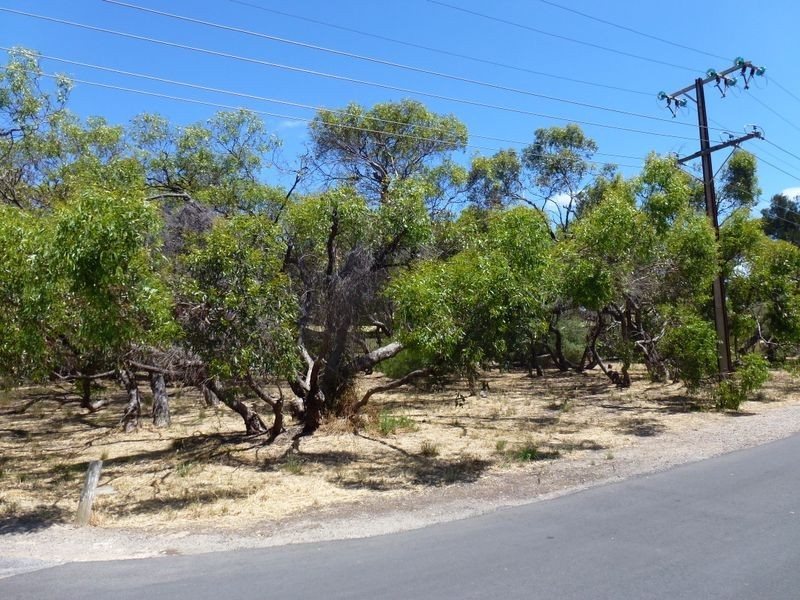 Lot 404 Dunstan Street, Aldinga Beach SA 5173