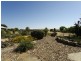 16 Clematis Walk, Aldinga SA 5173
