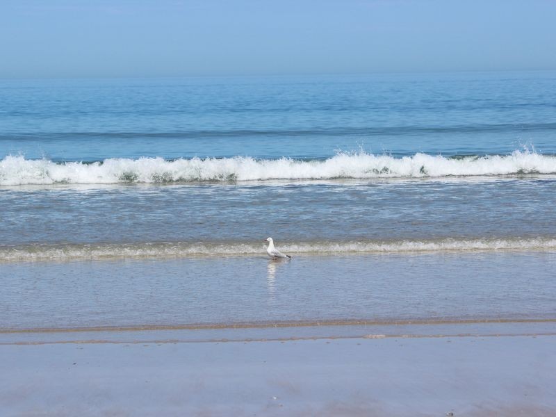 292 Esplanade, Aldinga Beach SA 5173