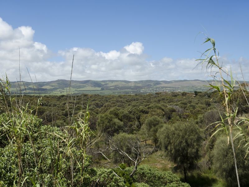211 Esplanade, Aldinga Beach SA 5173