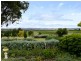 514 Bayliss Road, Tatachilla SA 5171
