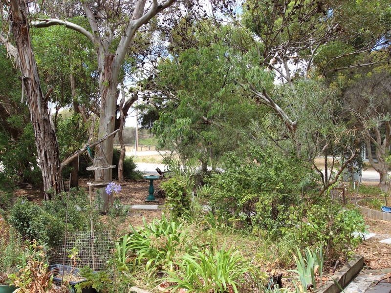 2 Quail Street, Aldinga Beach SA 5173