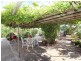37 Blacker Road, Aldinga Beach SA 5173