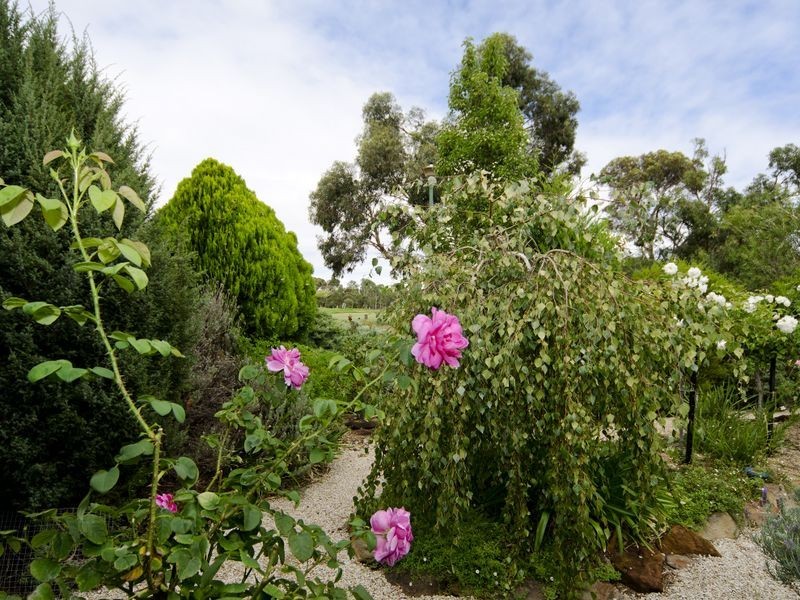 25 Herbert Allan Way, Willunga SA 5172