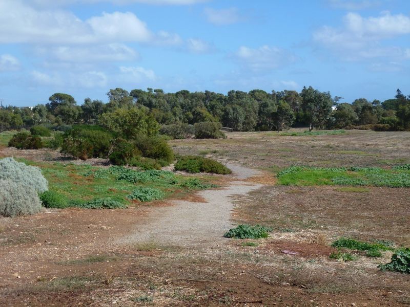 11 Arcadia Crs, Sellicks Beach SA 5174