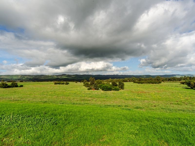 14 Evergreen Court, Aldinga Beach SA 5173