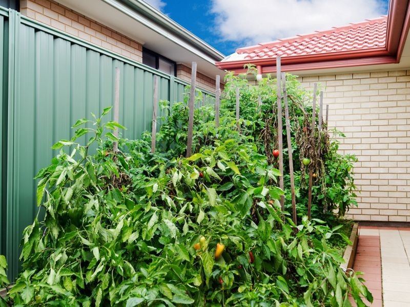 14 Evergreen Court, Aldinga Beach SA 5173