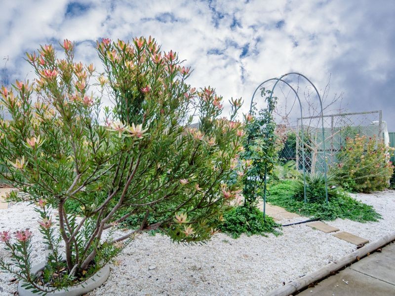 35 Emerald Boulevard, Aldinga Beach SA 5173