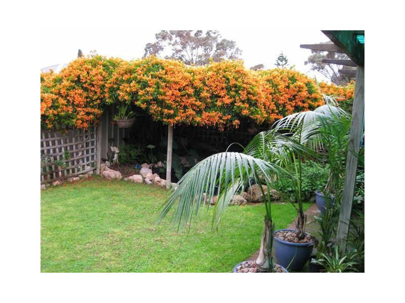 16 Oakley Crescent, Aldinga Beach SA 5173