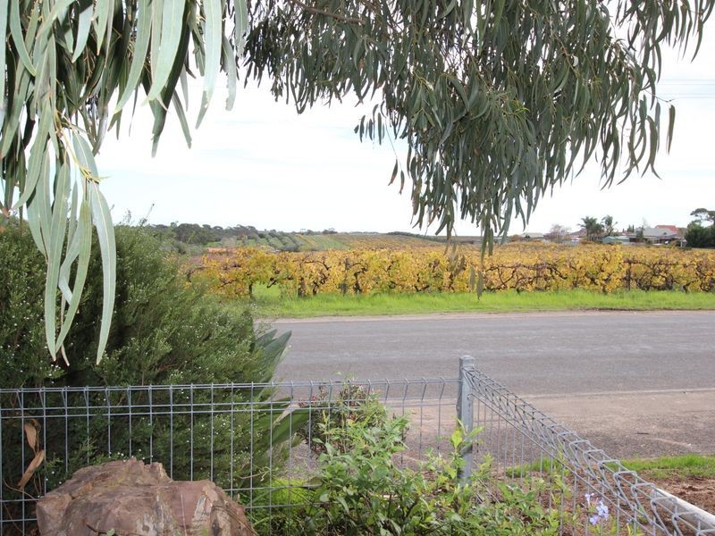 53 Aldersey Street, Mclaren Vale SA 5171