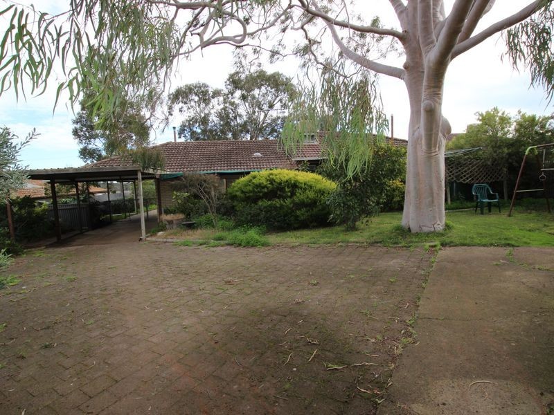 53 Aldersey Street, Mclaren Vale SA 5171