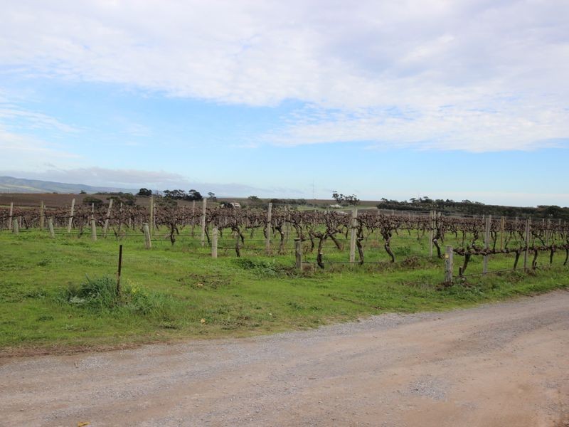 53 Aldersey Street, Mclaren Vale SA 5171