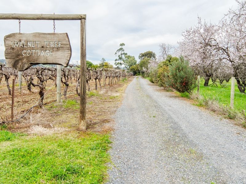 20 McLaren Flat Road, Mclaren Flat SA 5171