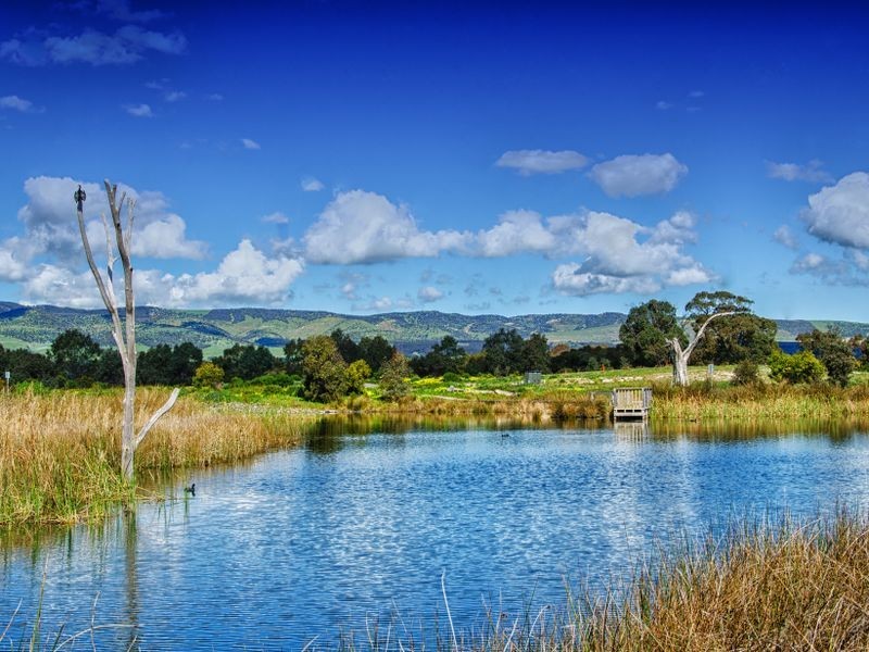 8 Cobalt Place, Aldinga Beach SA 5173