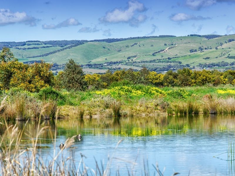 8 Cobalt Place, Aldinga Beach SA 5173