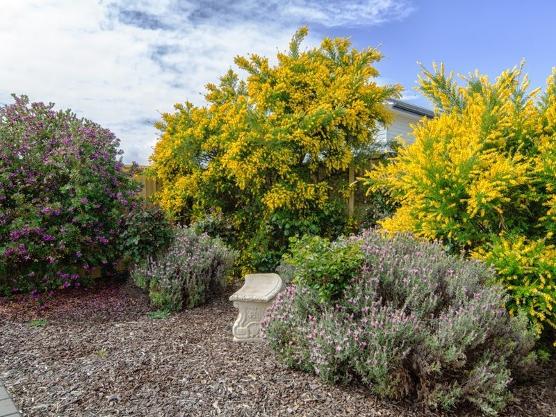 15 Seagull Street, Aldinga Beach SA 5173