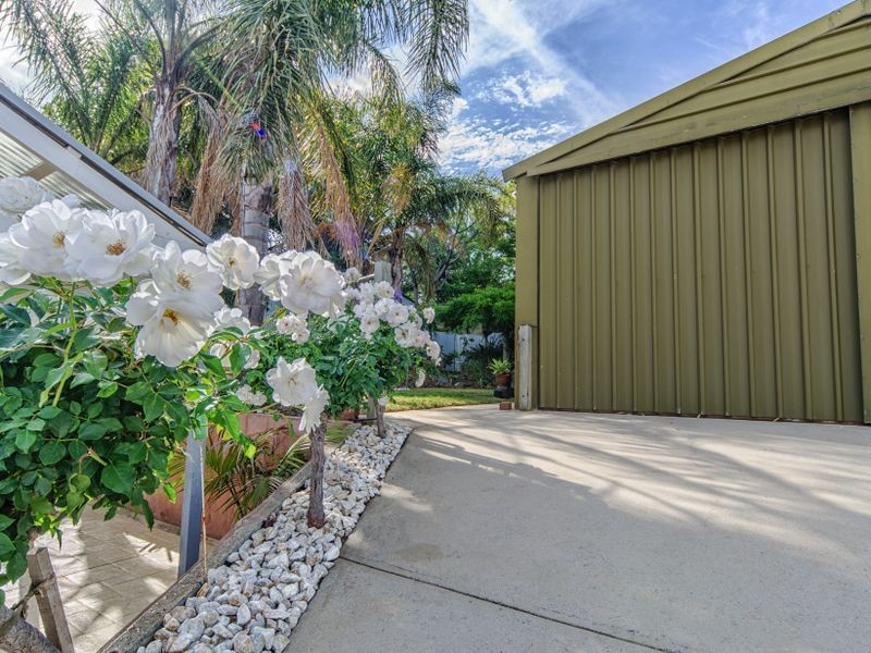 19 Palmer Street, Aldinga Beach SA 5173