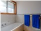 19 Palmer Street, Aldinga Beach SA 5173