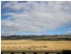 51 Ningana Road, Aldinga Beach SA 5173