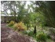 26 Bristol Street, Aldinga Beach SA 5173