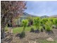 26 Cuttle Street, Aldinga Beach SA 5173