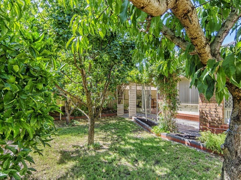 26 Cuttle Street, Aldinga Beach SA 5173