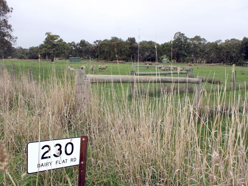 230 Dairy Flat Road, Hay Flat SA 5204