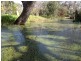 230 Dairy Flat Road, Hay Flat SA 5204