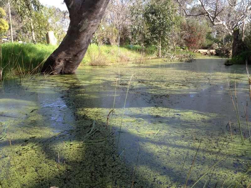 230 Dairy Flat Road, Hay Flat SA 5204