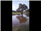 230 Dairy Flat Road, Hay Flat SA 5204