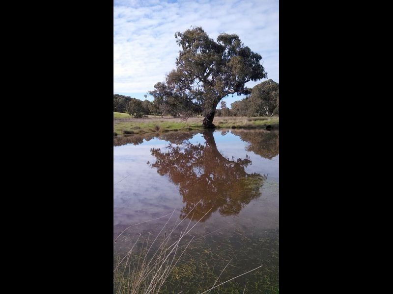 230 Dairy Flat Road, Hay Flat SA 5204
