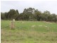 230 Dairy Flat Road, Hay Flat SA 5204