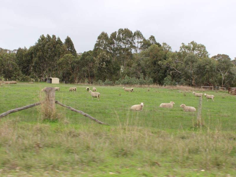 230 Dairy Flat Road, Hay Flat SA 5204