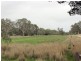230 Dairy Flat Road, Hay Flat SA 5204