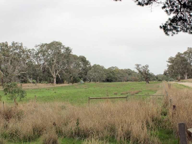 230 Dairy Flat Road, Hay Flat SA 5204